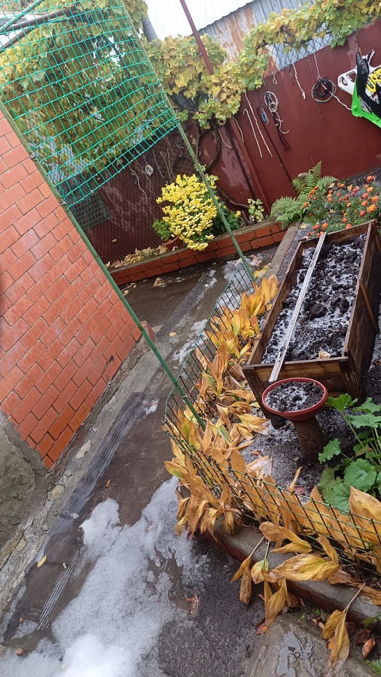 В Саратове громыхал гром и выпал град