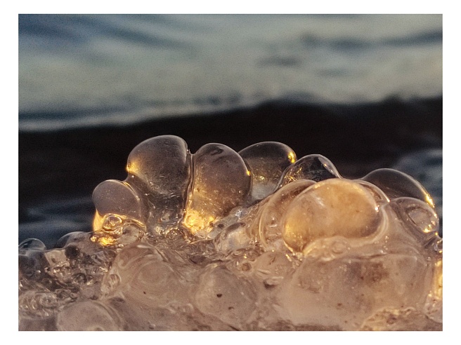 Берег Волги в Саратове усыпали "грозди винограда" 