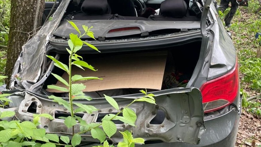 В Аткарском районе в слетевшей с трассы иномарки погибла женщина-пассажир