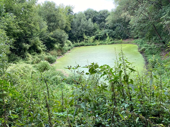 Журналист "Саратов 24" прошла по маршруту в Устиновской усадьбе