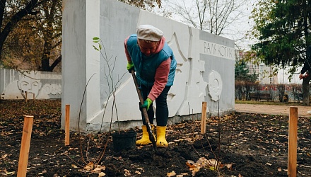 В сквере "Территория детства" высадили новые кустарники