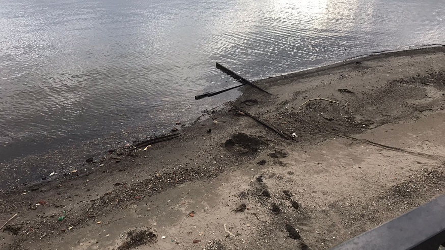 В Саратове продолжили очистку берега Волги на Новой Набережной