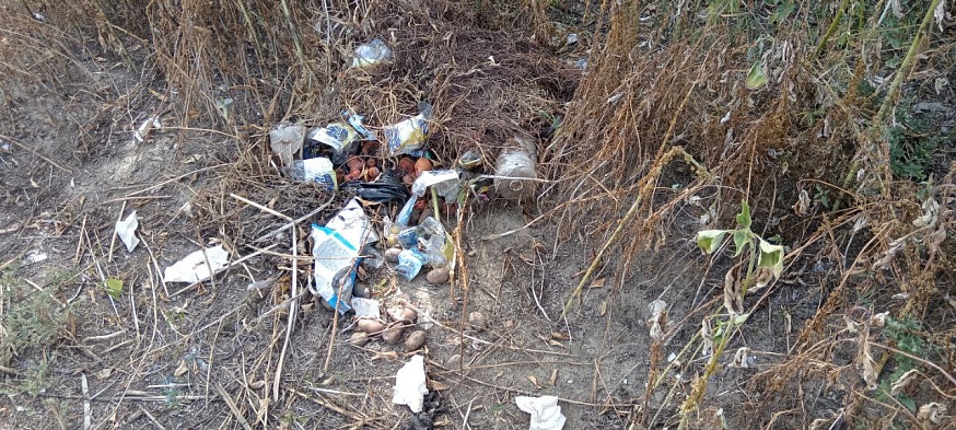 Волжский район Саратова погряз в мусоре