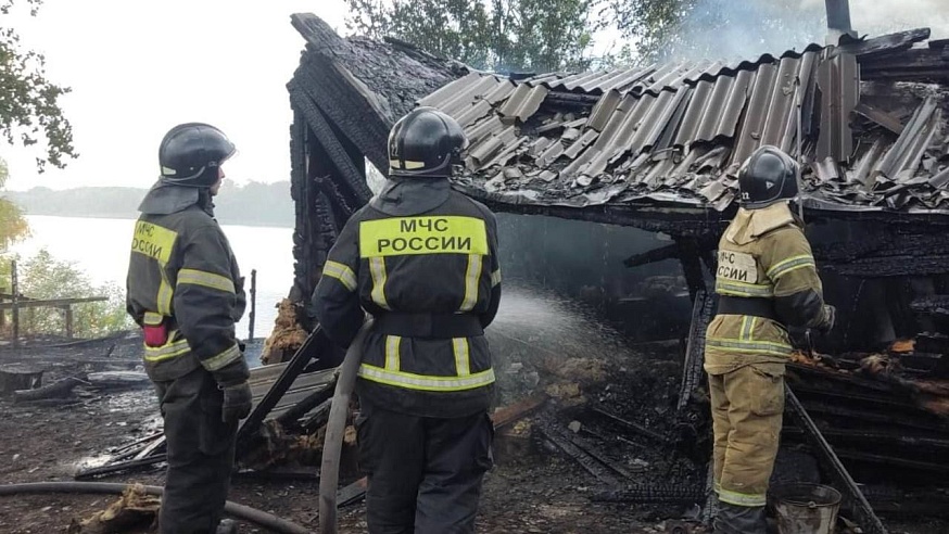 На пожаре под Саратовом дачник спас сторожа и собаку