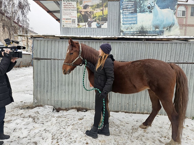 В Саратове нашли символ нового года — "огненную" лошадь