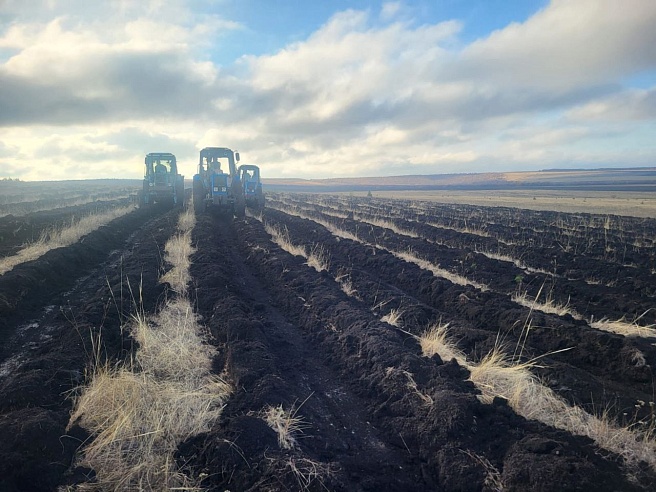 Компенсационные леса из Бурятии "переехали" в Саратовскую область