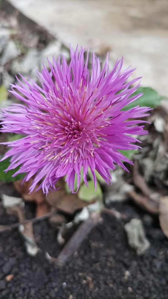 Саратовцы делятся фотографиями "зимнего" урожая