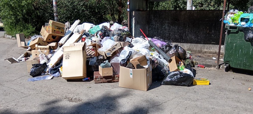 Саратовцы жалуются на крыс