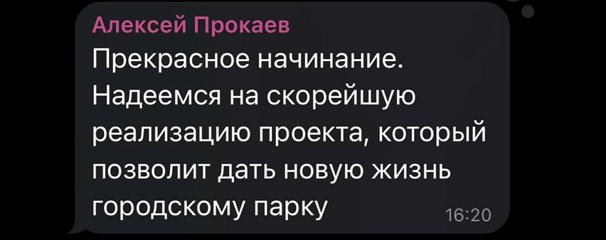 Саратовцы обсуждают концепцию развития Городского парка