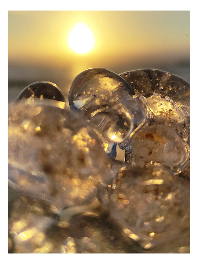 Берег Волги в Саратове усыпали "грозди винограда" 