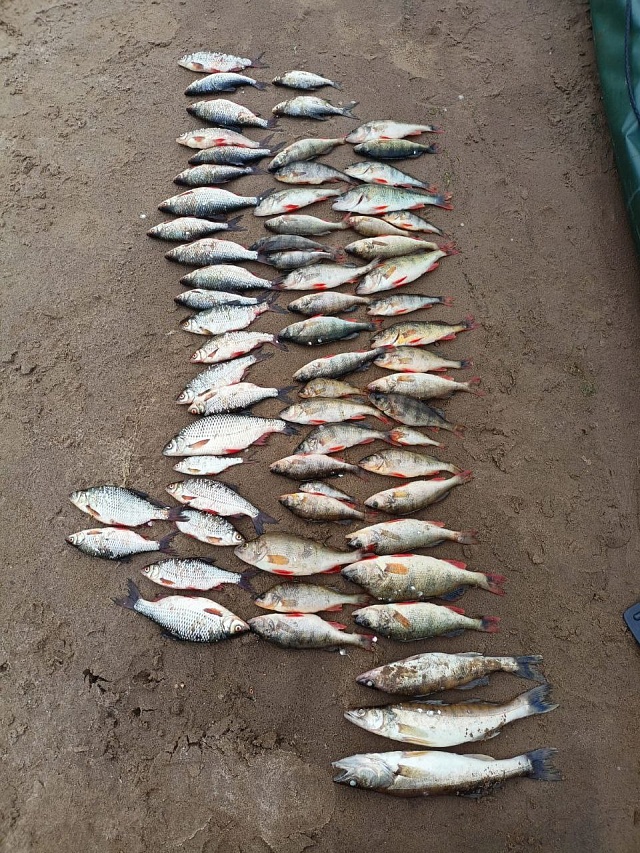 Рыбоохраной Саратовской области выявлено более сотни правонарушений