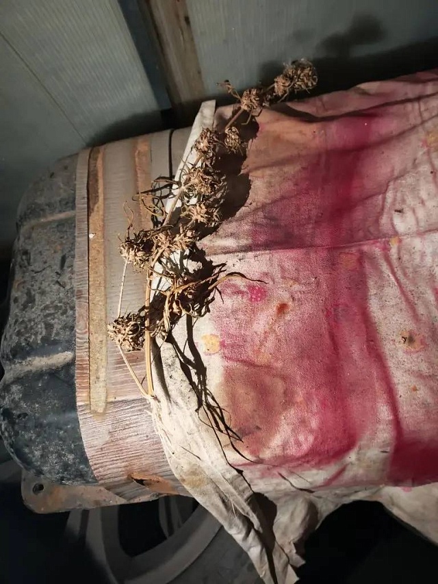 Сбыт в момент сделки и три куста в теплице: саратовцу грозит до 10 лет по "наркотической" статье