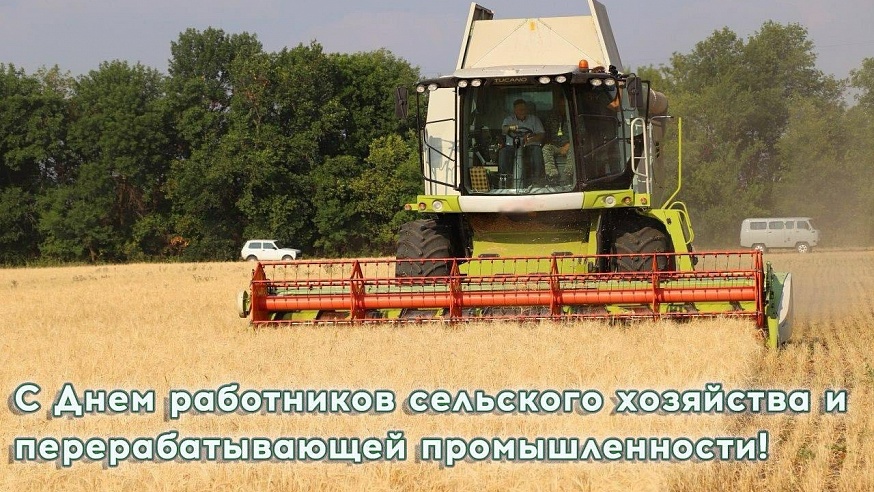 Сегодня День работников сельского хозяйства и