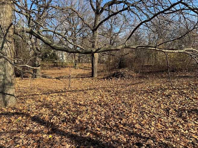 Почти три тысячи саратовцев посетили обновленный Ботсад СГУ