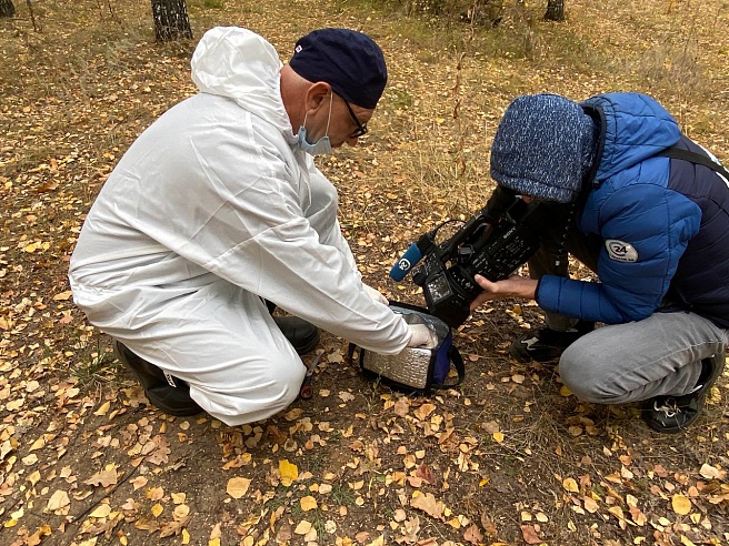 В Энгельсе стартовала осенняя кампания по иммунизации диких животных от бешенства