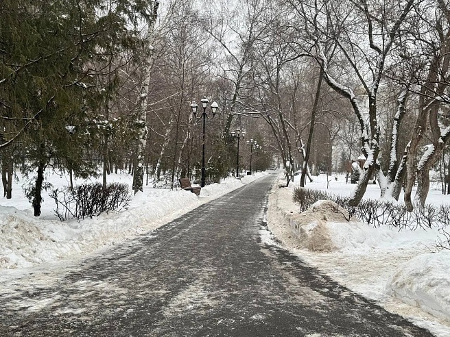 В Саратове депутаты Облдумы провели мониторинг уборки улиц и дворов от снега