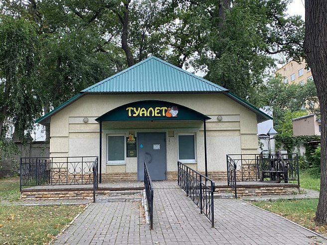 Саратовцы обеспокоены гибелью рыбы в прудах Горпарка