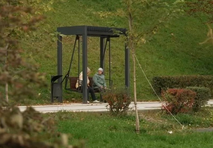 В центре Саратова высадят деревья-крупномеры