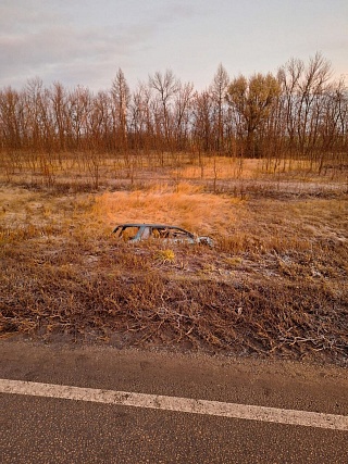 В Балашовском районе легковушка слетела в кювет: водитель в больнице