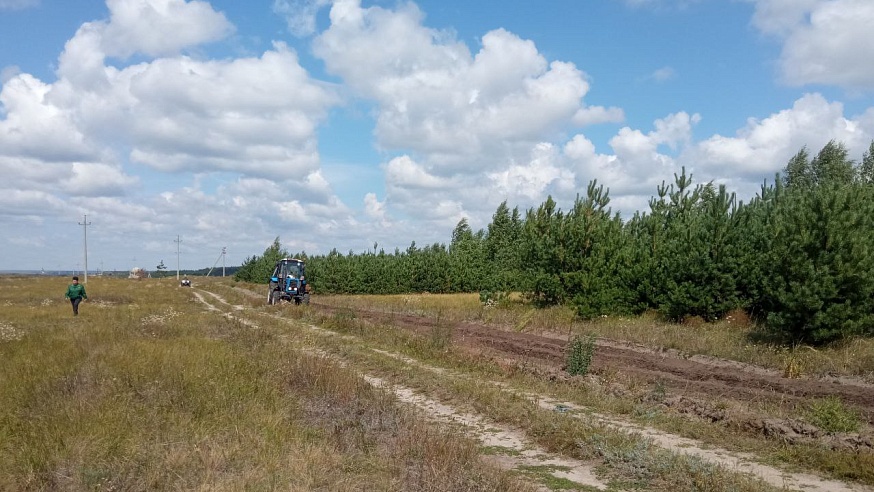 В лесах Саратовской области установлено 36 видеокамер