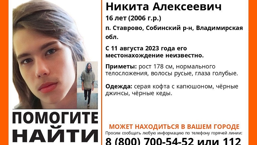В Саратовской и Владимирской областях ищут пропавшего 16-летнего подростка
