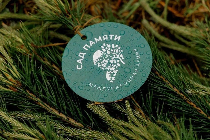 С начала года в Саратовской области высажено порядка 12 миллионов деревьев