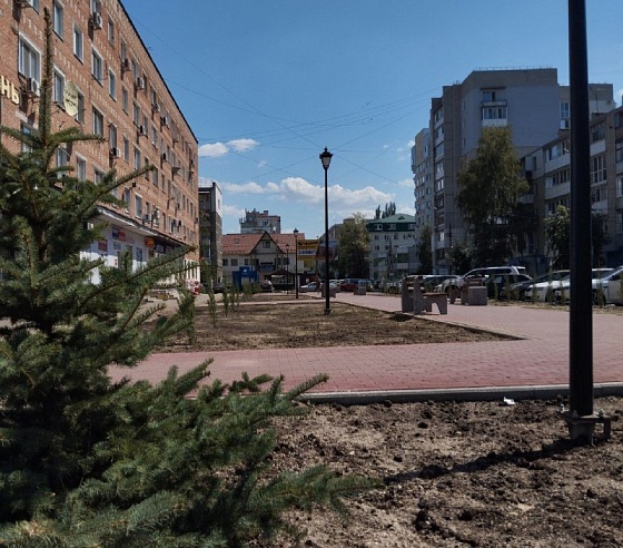 В Энгельсе благоустроили четыре сквера