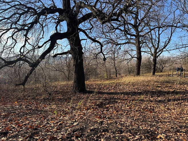 Почти три тысячи саратовцев посетили обновленный Ботсад СГУ