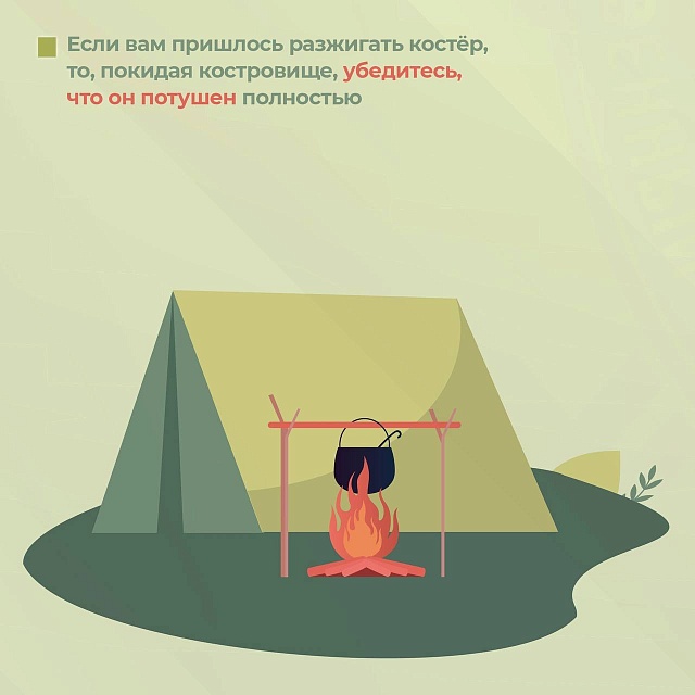 Саратовцам рассказали, как пойти в лес за грибами и не потеряться