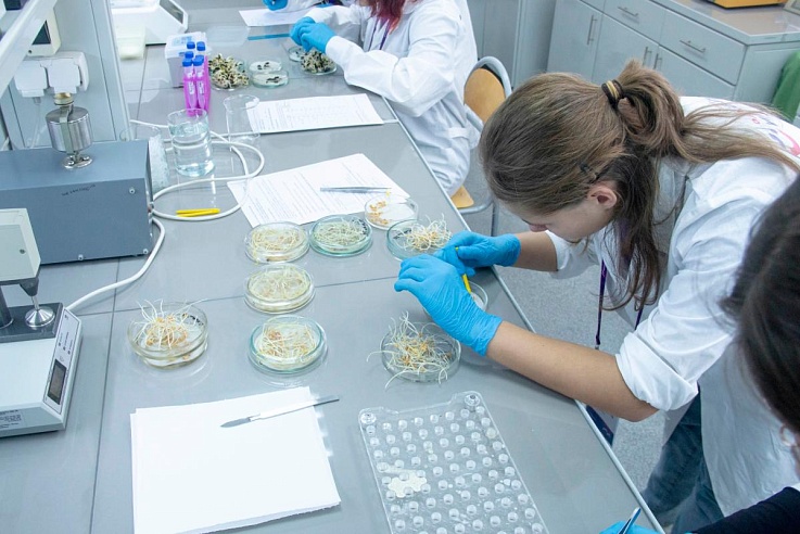 В Саратове пройдет полуфинал Всероссийской олимпиады по агрогенетике 