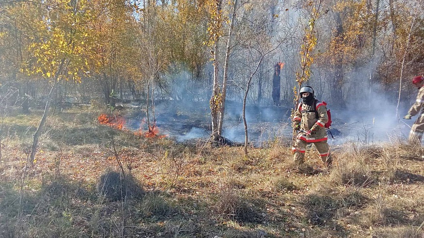 В Саратовской области пожарные ликвидировали 4 возгорания