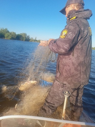 В Саратовской области за две недели рыбоохрана изъяла 2 километра сетей