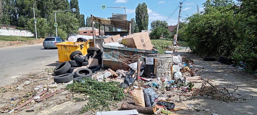 В «Ситиматике» объяснили, что вовремя вывозить мусор им мешают отключения мобильного интернета