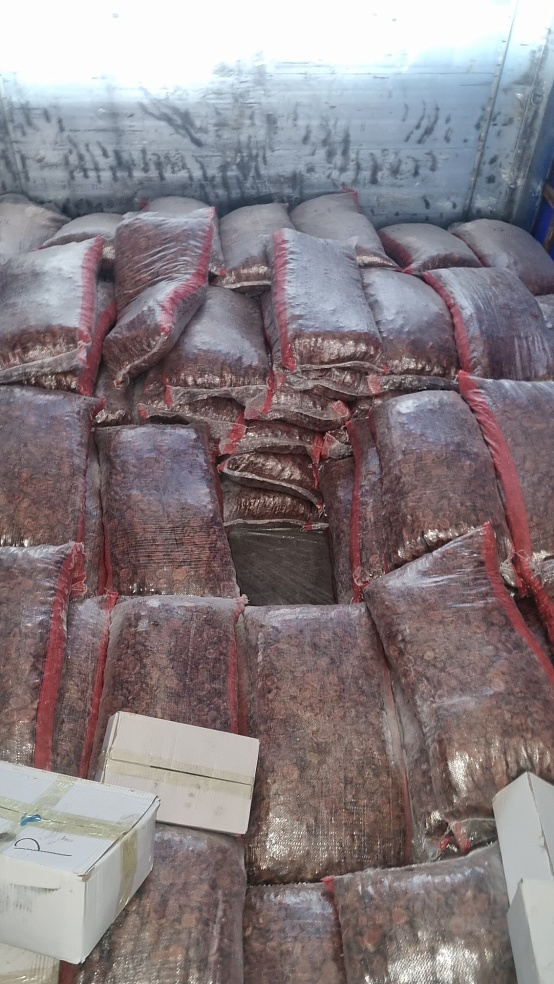 В Озинках не пропустили в Россию 22 тонны немаркированных сухофруктов из Казахстана