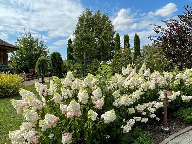 Вячеслав Володин поделился историей возрождения Иоанновского монастыря в Хвалынском районе