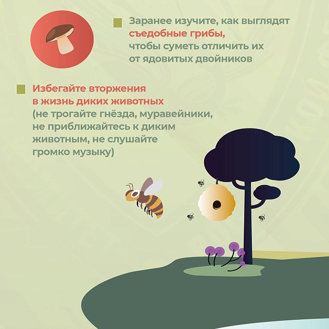 Саратовцам рассказали, как пойти в лес за грибами и не потеряться