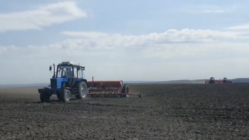 Саратовские аграрии планируют собрать 6 млн тонн зерна