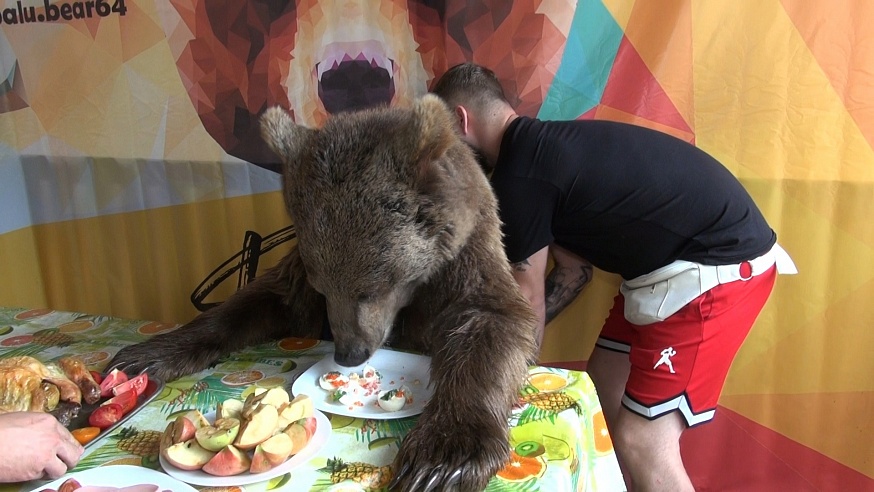В Саратове медведь отпугивает грабителей и ест за пятерых