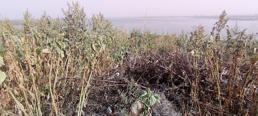 Волжский район Саратова погряз в мусоре