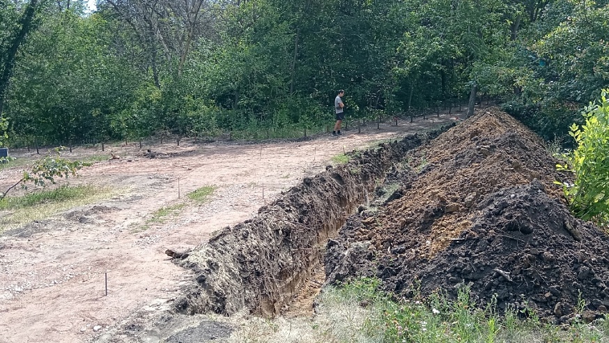 В Парке Победы начали пилить деревья и кустарники