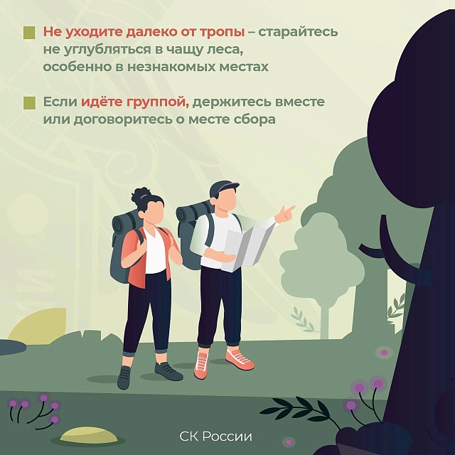 Саратовцам рассказали, как пойти в лес за грибами и не потеряться