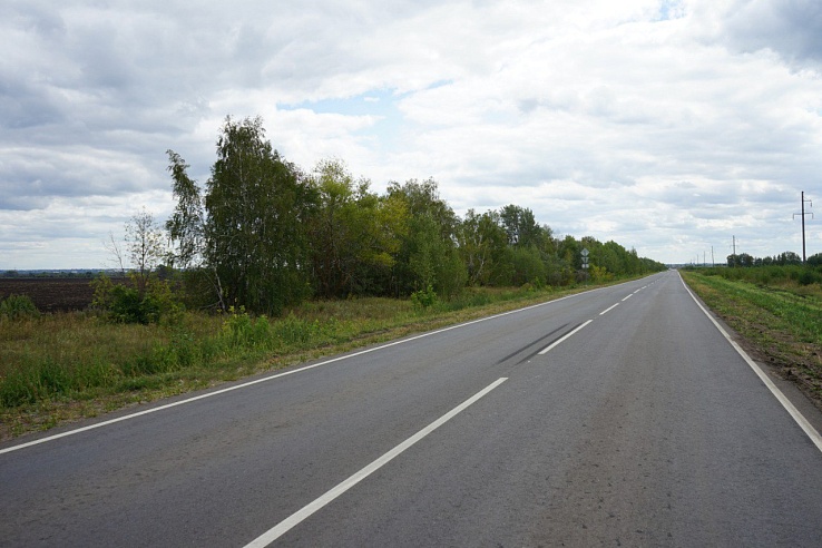 Дорогу к сосне, исполняющей желания, отремонтировали в Балашовском районе