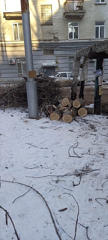 После публикации "Саратов 24" возле жилого дома спилили аварийное дерево