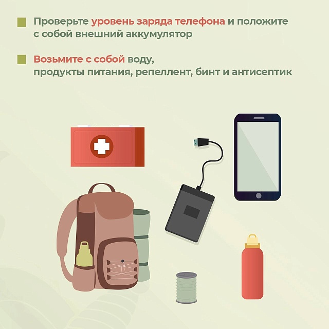 Саратовцам рассказали, как пойти в лес за грибами и не потеряться