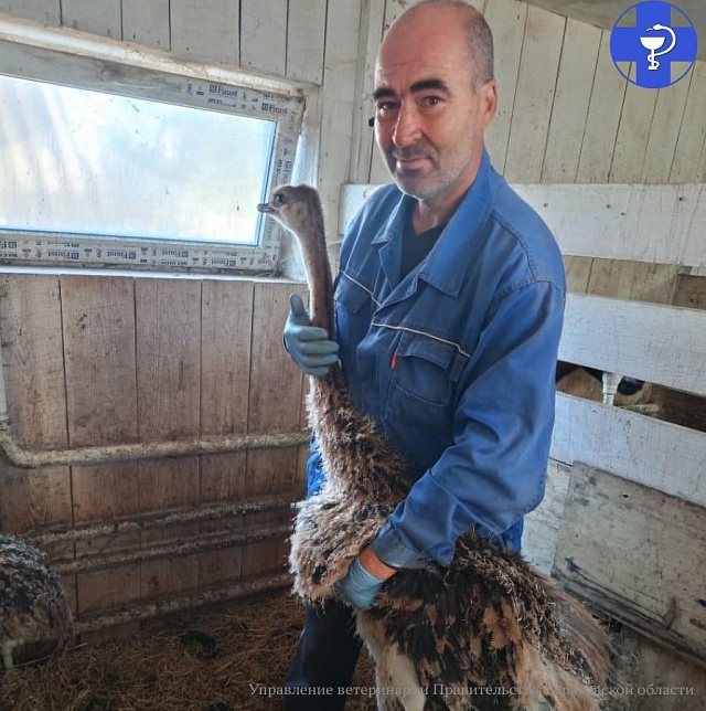 В Саратовской области начали выращивать экзотических животных