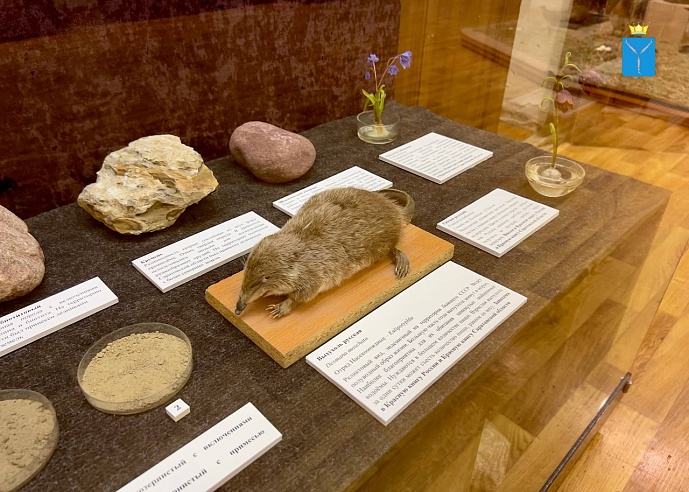 Саратовский музей зовет жителей и гостей города на настолки