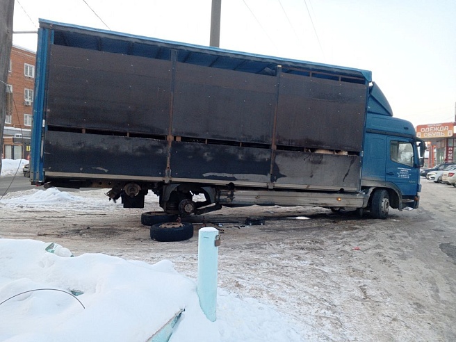 90 коз и баранов не доехали до Москвы из-за отсутствия "документов"