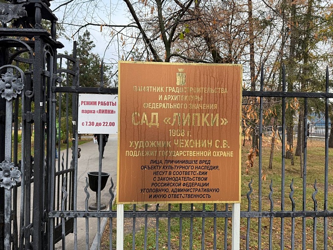 В "Липках" осенью высадили 90 деревьев-крупномеров 