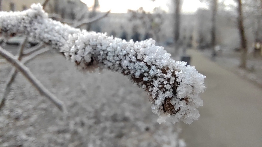 В Саратовской области сохранятся сильные ночные морозы