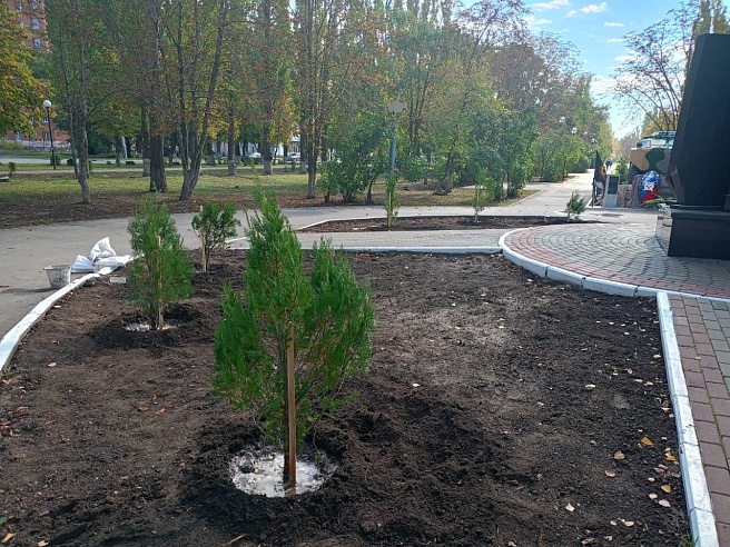 В Балакове неизвестные украли туи возле Мемориала погибшим героям